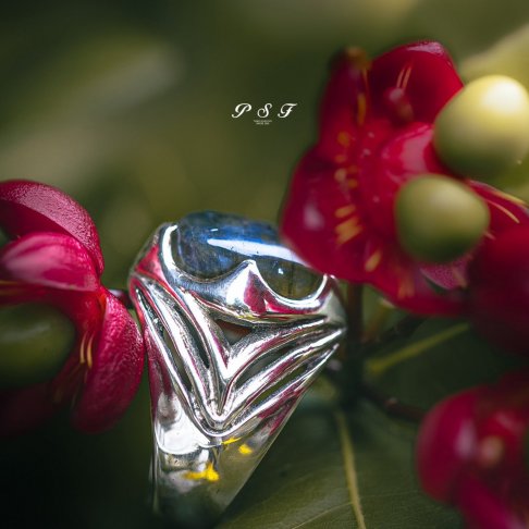 星盾戒指