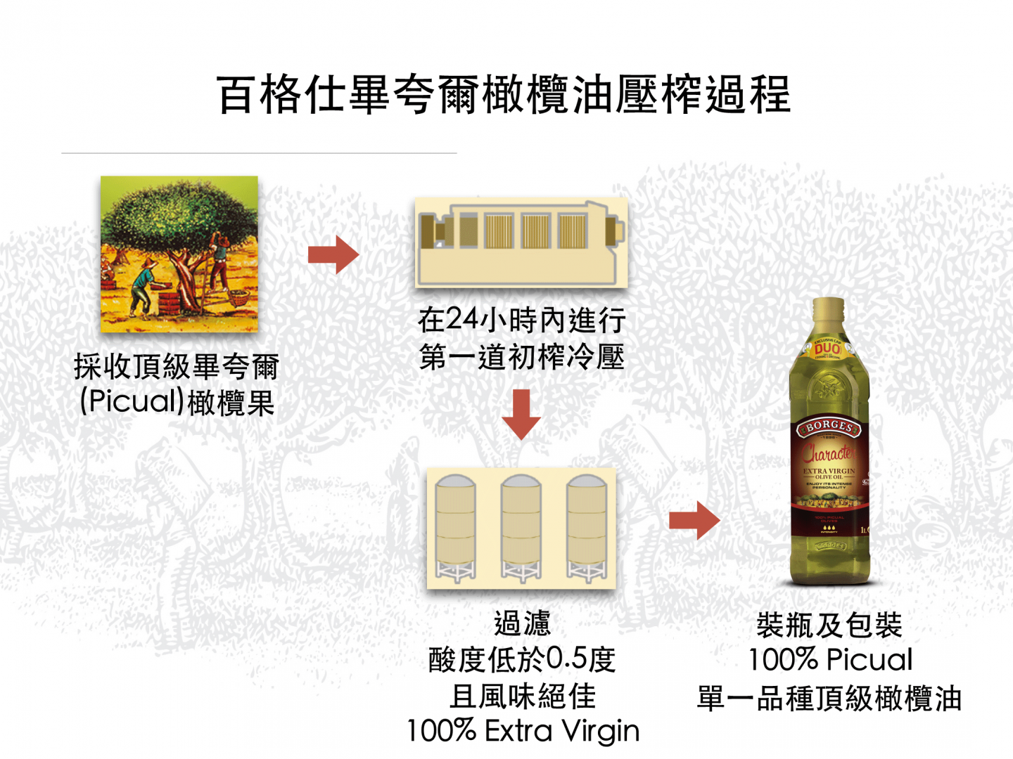 百格仕畢夸爾(Picual)橄欖油壓榨過程