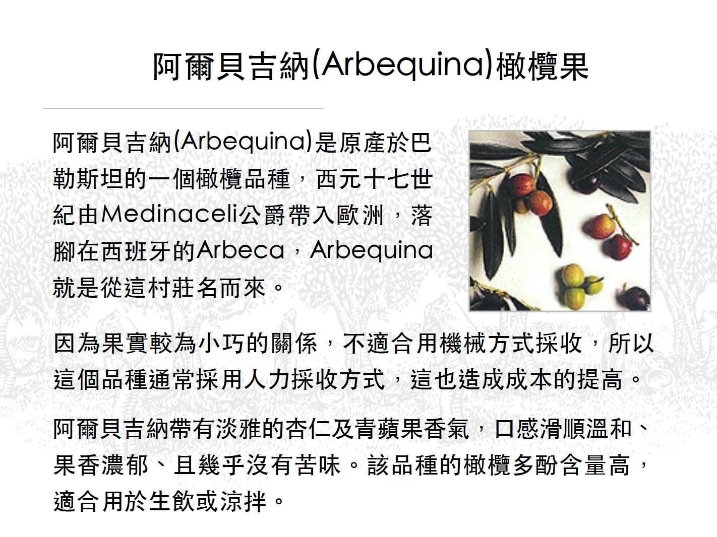 阿爾貝吉納(Arbequina)橄欖果