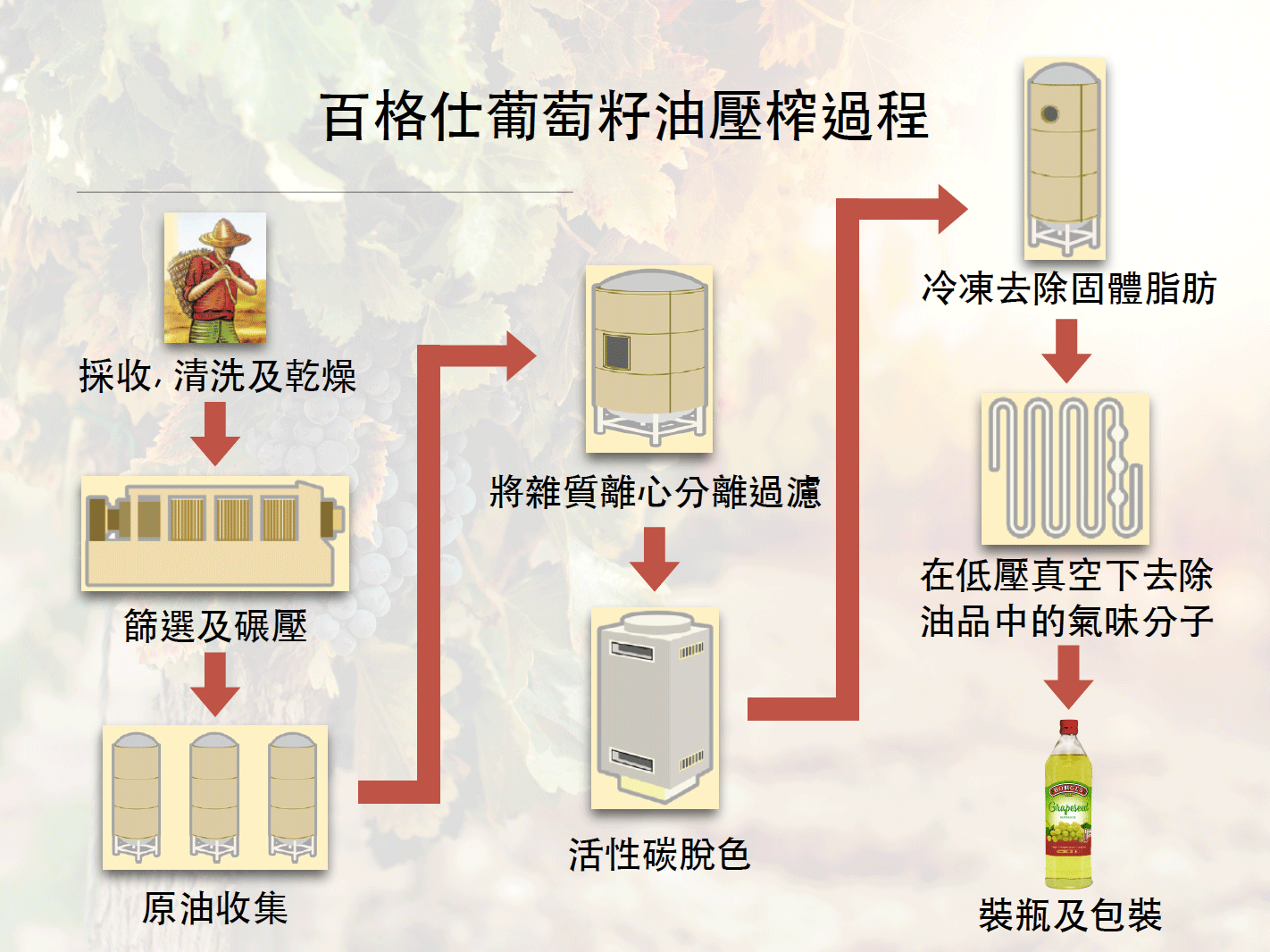 百格仕葡萄籽油压榨过程